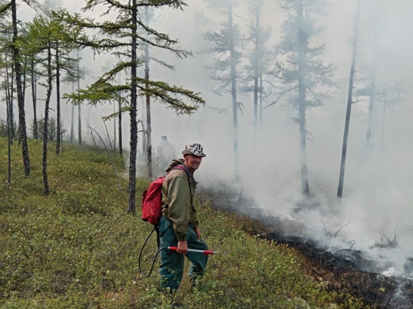  В Тунгокоченском районе и Могочинском округе ликвидировали два лесных пожара